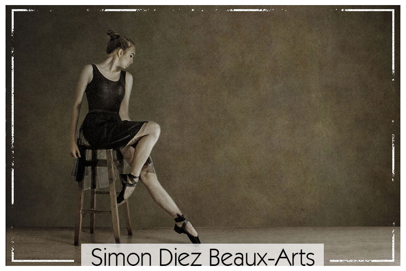 Simon Diez Beaux-Arts