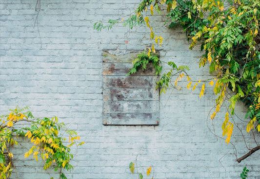 Toile de fond de mur de briques blanches de printemps feuilles vertes décors de photographie