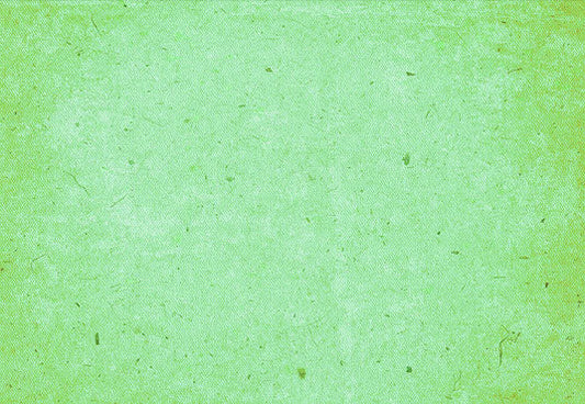Toile de fond de portrait solide de photographie vert clair
