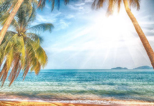 Toile de fond de la mer bleue l'été soleil cocotier vacances paysage photographie