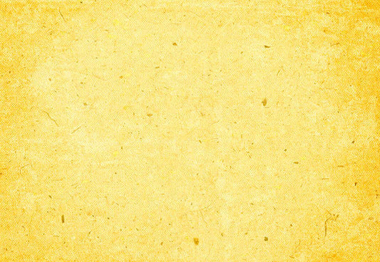 Toile de fond de portrait solide de photographie jaune vif