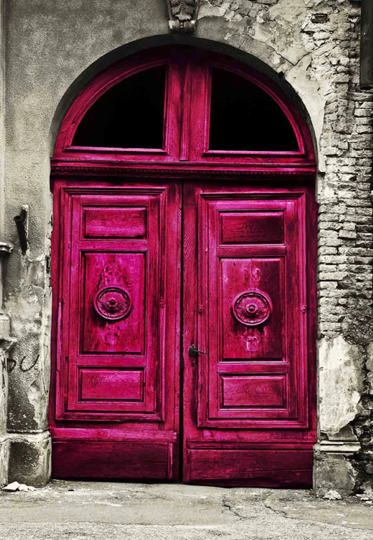 Toile de fond de vieille porte en bois rouge avec mur de briques endommagées pour la photographie de portrait SBH0146