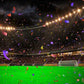 Toile de fond de photographie de terrain de football de nuit d'herbe verte de sports