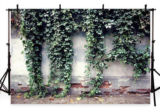 Toile de fond de feuilles vertes de printemps sur fond de mur de briques blanches cassées pour la photographie photo