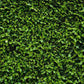 Toile de fond de printemps nature vert pelouse feuilles pour la photographie fond d'herbe