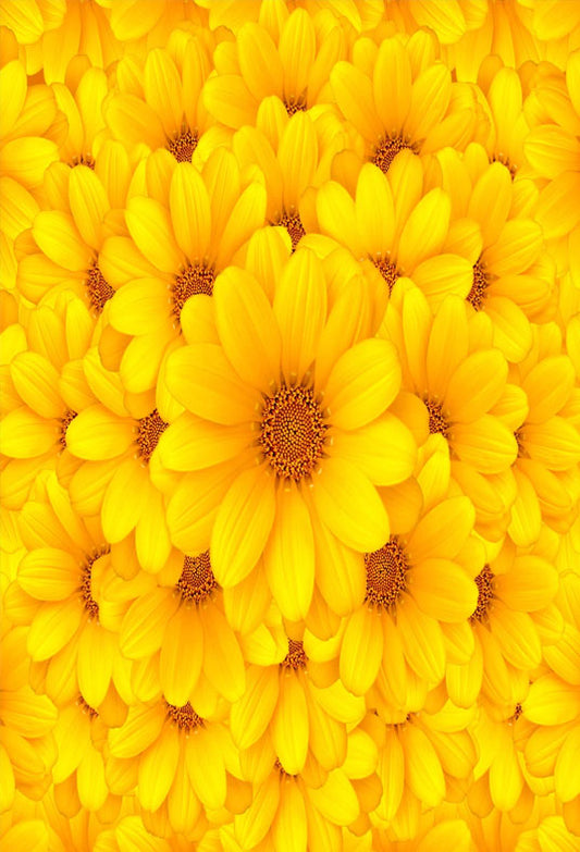 Toile de fond de photo de bébé de fleurs jaunes pour fond de mariage de photographie