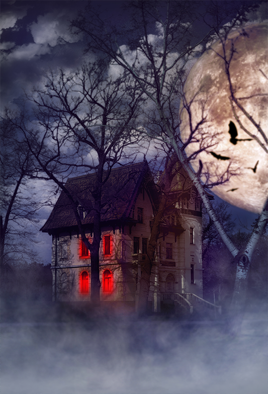 Toile de fond Halloween de maison ancienne effrayante SBH0169