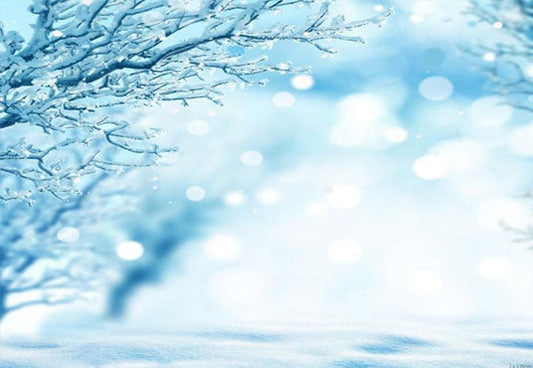 Toile de fond de ciel bleu neige branches d'hiver pour la photographie