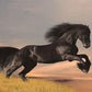 Toile de fond de photographie de prairie de cheval noir de dessin animé