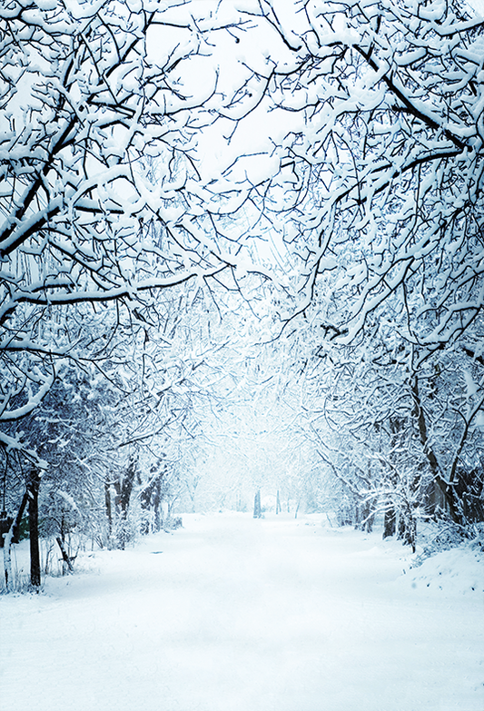 Toile de fond de voie enneigée d'hiver avec des branches pour la photographie SBH0298