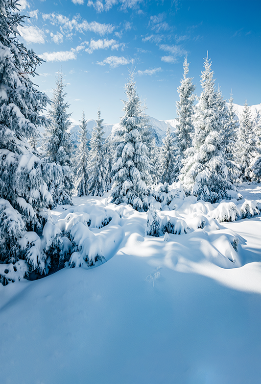 Toile de fond de paysage d'hiver enneigé pour la photographie SBH0302