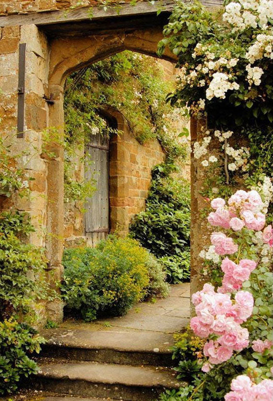 Toile de fond de vieille porte en pierre de fleurs roses vue de printemps fond de photographie