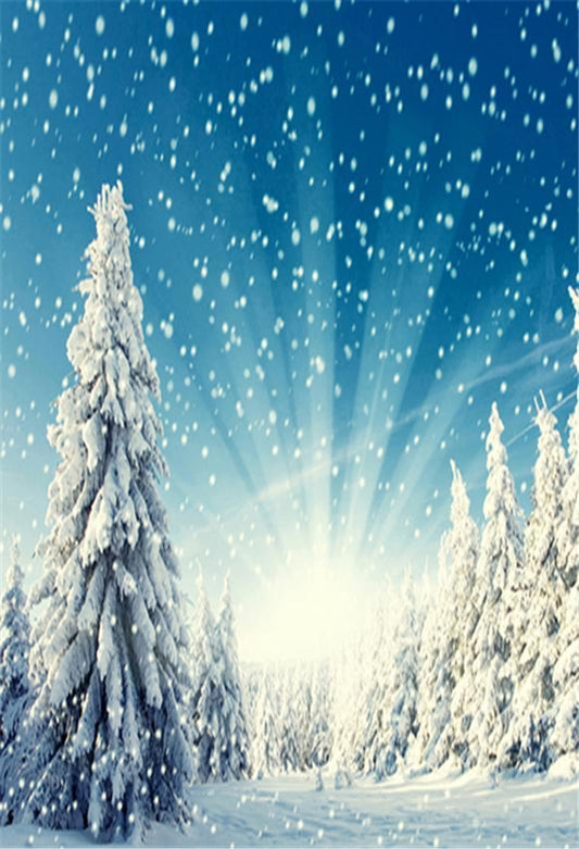 Toile de fond de photographie de pin de ciel bleu de flocon de neige