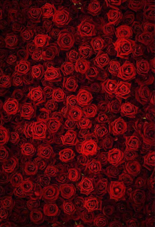 Toile de fond de mur de roses rouges pour la photographie de mariage