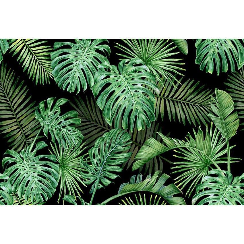 Toile de fond de feuilles tropicales vertes fond de photographie d'été
