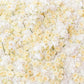 Toile de fond de fleurs de rose beige de mariage pour bannière de table d'anniversaire
