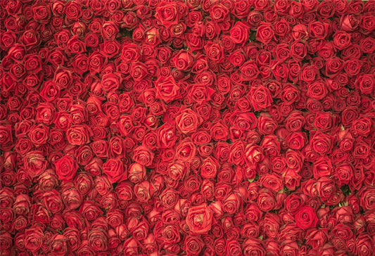 Toile de fond d'étoile de fleurs roses rouges pour décor de mariage