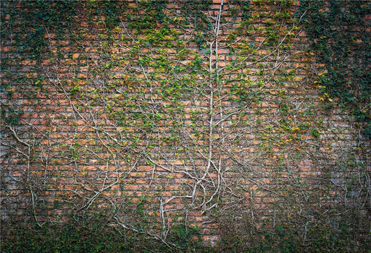 Toile de fond de mur de briques feuilles de printemps décors de photographie pour le studio