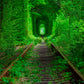 Toile de fond de paysage de forêt verte de printemps de voie ferrée