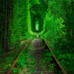 Toile de fond de paysage de forêt verte de printemps de voie ferrée