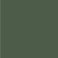Toile de fond de photographie de couleur unie vert foncé