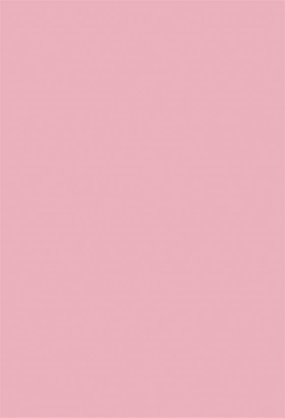 Toile de fond décors de photographie de princesse solide rose pour le studio