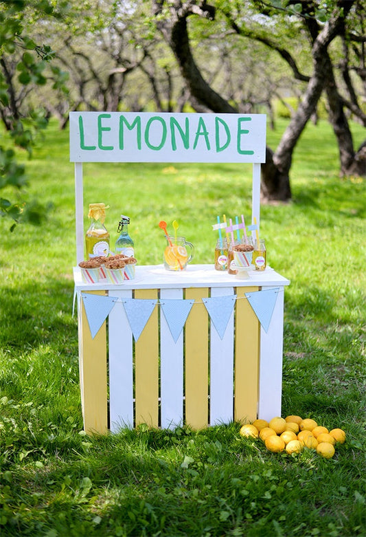 Toile de fond décors de photographie de printemps de limonade pour les photos