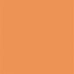 Toile de fond de studio photo solide orange pour la photographie