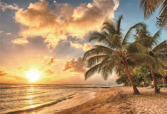 Toile de fond tropicale de la plage au coucher du soleil d'été