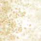 Toile de fond abstraitee de peinture florale à l'huile impressionniste pour la photographie SBH0051