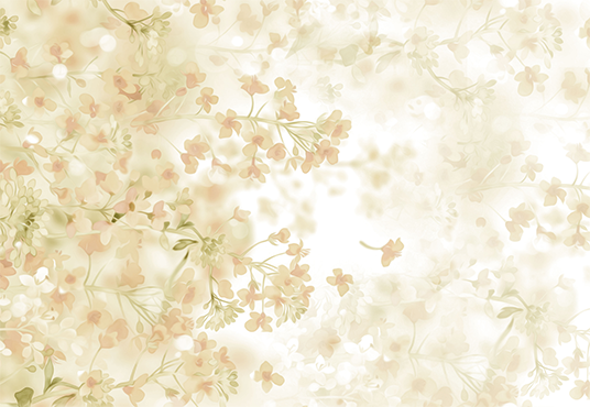 Toile de fond abstraitee de peinture florale à l'huile impressionniste pour la photographie SBH0051