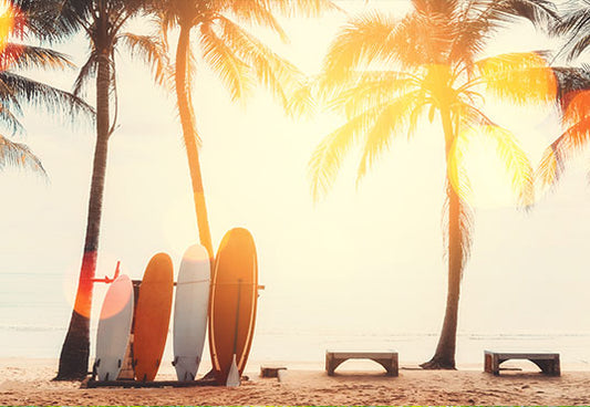 Toile de fond de planche de surf de vacances d'été et palmier sur la plage pour la photo SBH0121