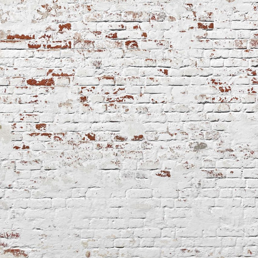 Toile de fond de mur de pierre blanc rouge brique texture altérée urbaine pour la photographie de portrait SBH0145