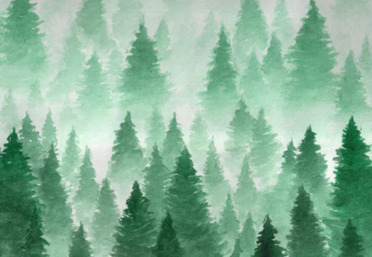Toile de fond de colline de forêt brumeuse d'hiver de paysage fantastique d'aquarelle pour la photographie SBH0150