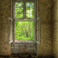 Toile de fond de maison abandonnée de fenêtre grunge pour la photographie SBH0167