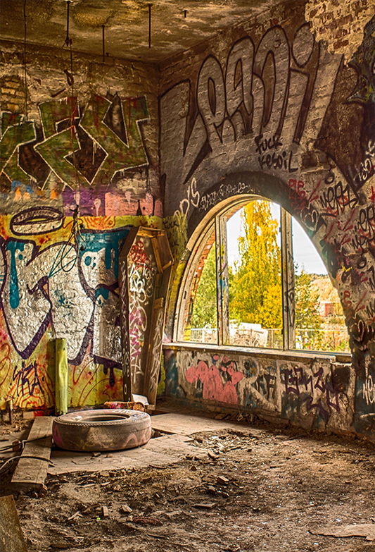 Toile de fond colorée de graffiti d'usine abandonnée pour la photographie SBH0177