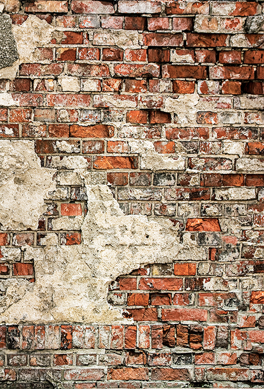 Toile de fond de mur de briques patinées pour la photographie grunge SBH0328