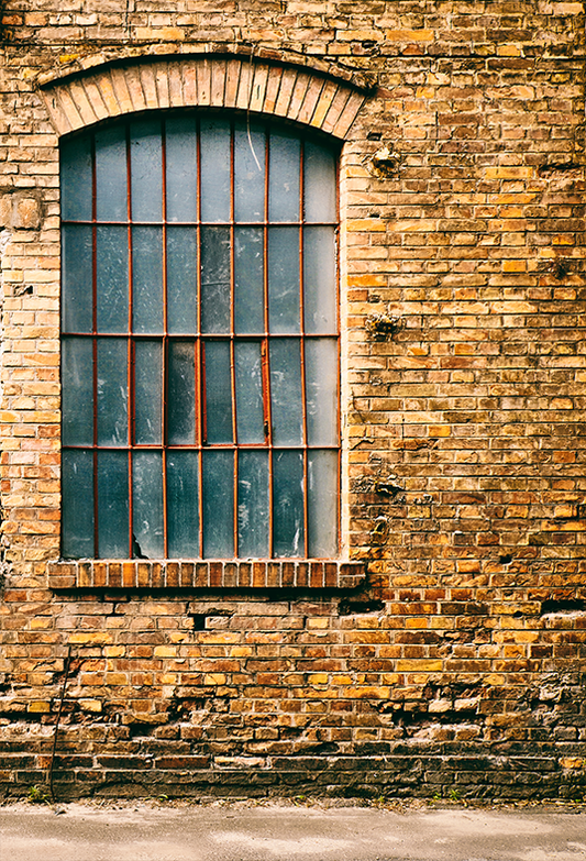 Toile de fond de mur de briques vintage avec fenêtre de photographie SBH0339