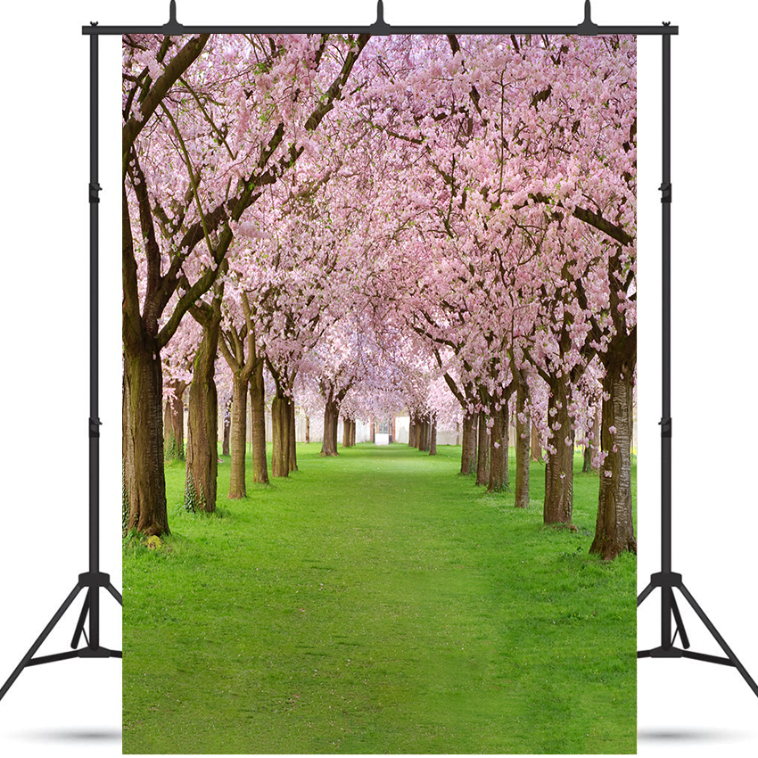 Toile de fond de cerisiers en fleurs pour la photographie de printemps SBH0358