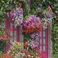 Toile de fond de maison avec des fleurs pour photographie de printemps SBH0360