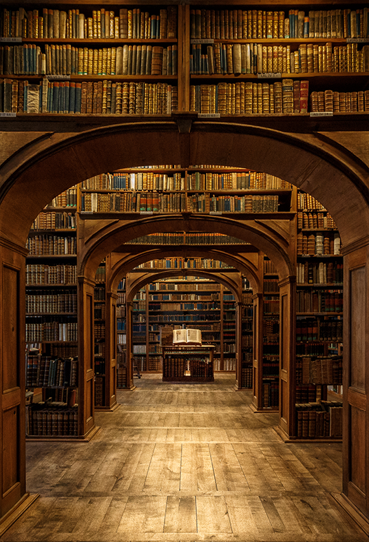 Toile de fond de bibliothèque antique