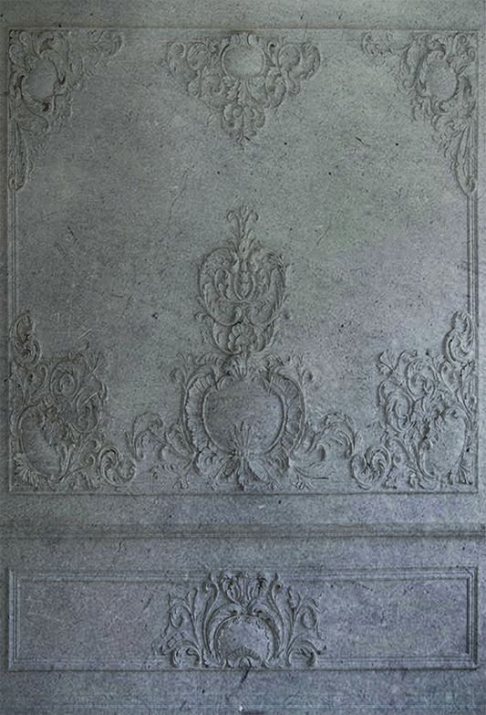 Toile de fond de mur intérieur en plâtre gris pour la photographie SBH0382