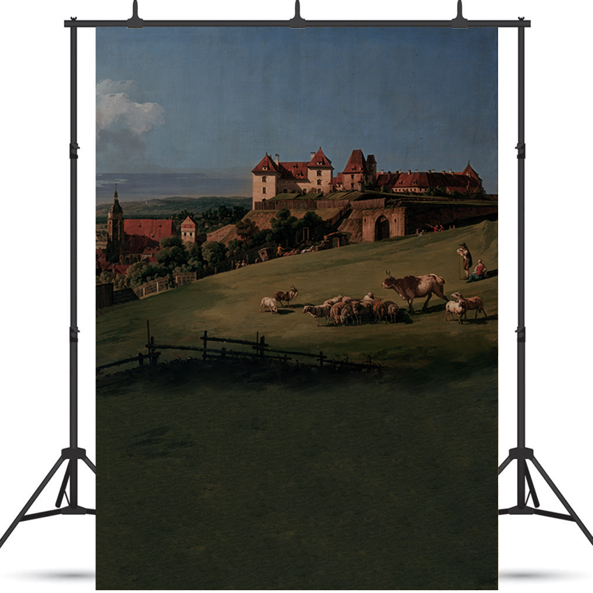 Toile de fond de peinture à l'huile de vue de château de Sonnenstein pour la photo SBH0407