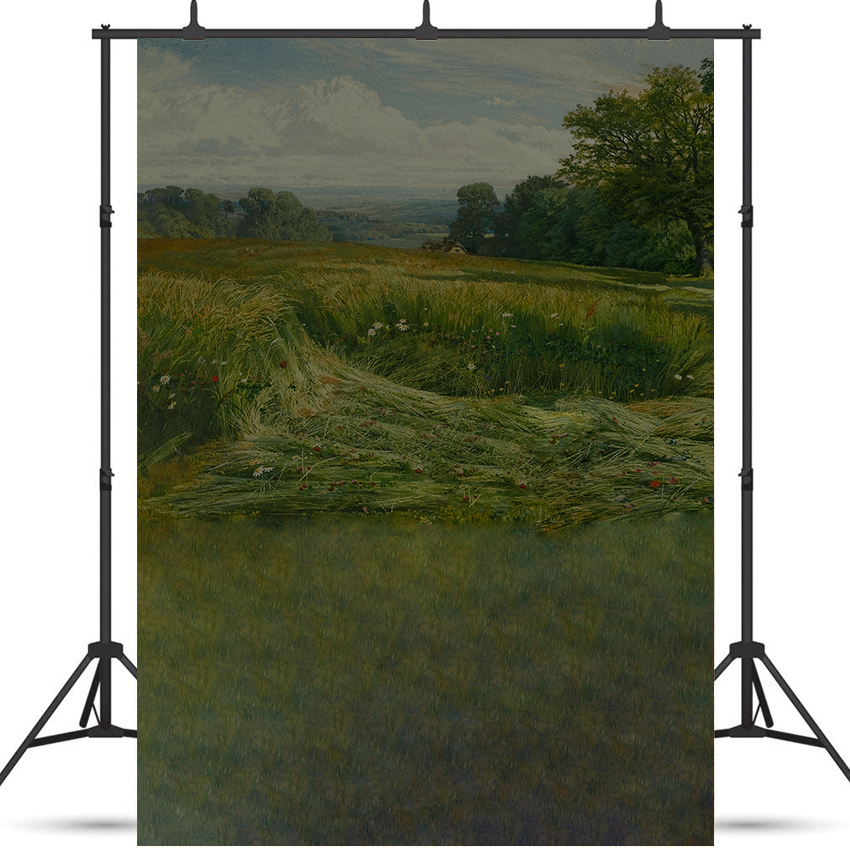 Toile de fond de peinture à l'huile de vue de près de la colline de Leith de photographie SBH0409