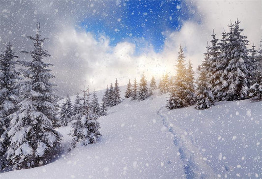 Toile de fond de studio photo d'hiver de flocon de neige de ciel bleu