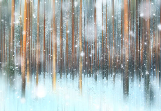 Toile de fond décors de flocon de neige de forêt d'hiver de photographie