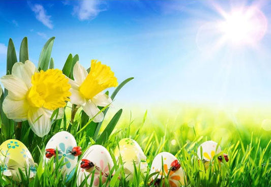 Toile de fond d'oeufs de Pâques et fleurs jaunes fond herbe verte sous le soleil photographie