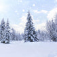 Toile de fond neige blanc forêt hiver pays des merveilles de photographie