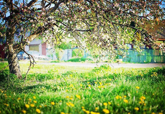 Toile de fond de de décors de sol d'herbe verte de fleurs de printemps pour la photographie