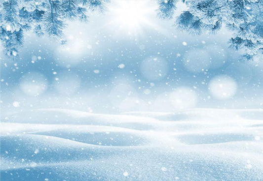 Toile de fond décors de Noël de soleil de flocon de neige d'hiver pour la photographie